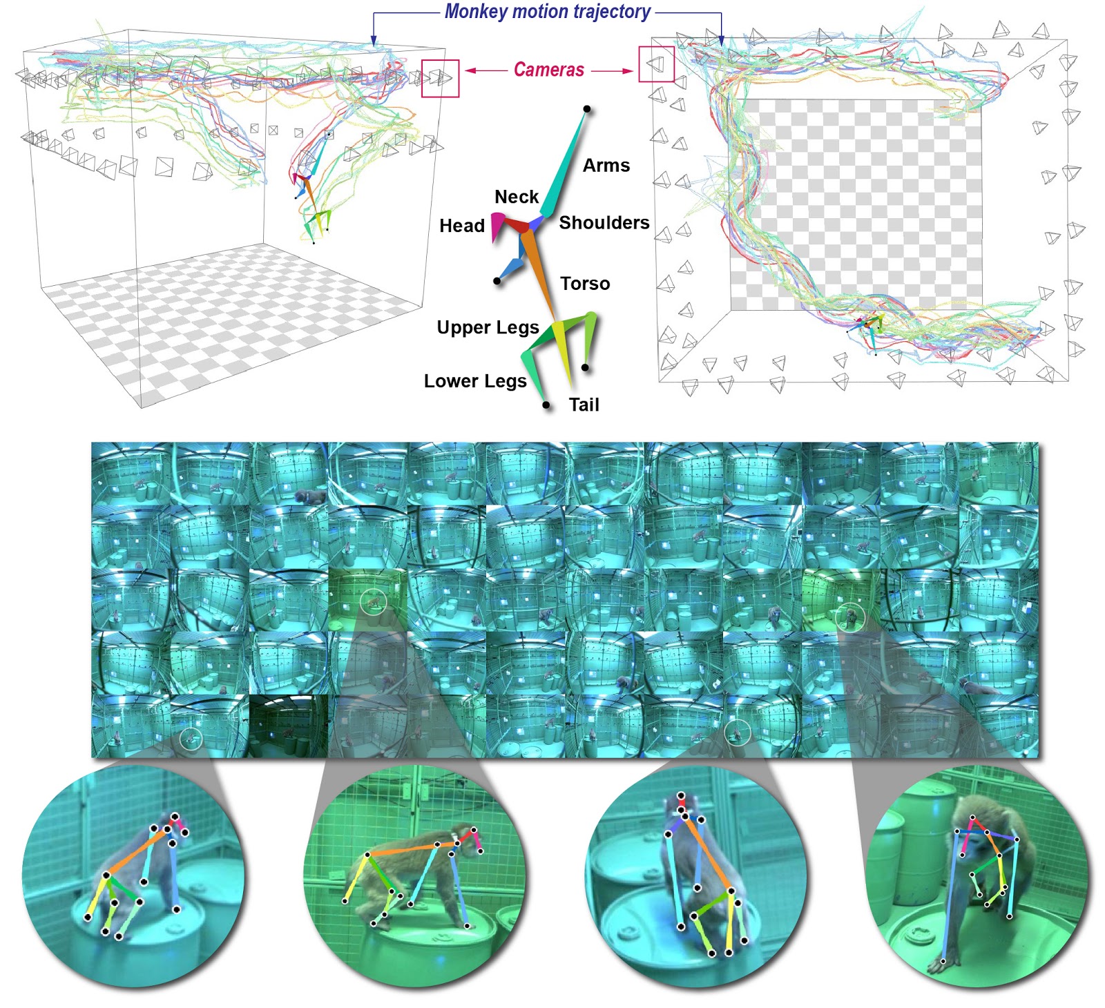 OpenMonkeyStudio teaser